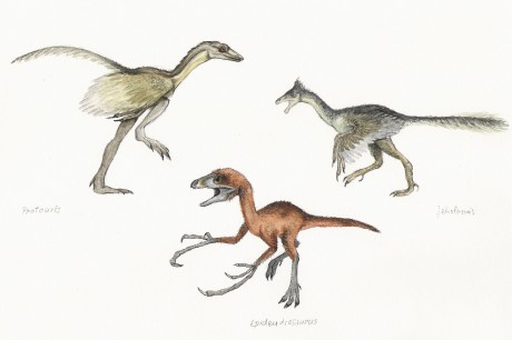Protoavis,Epidendrosaurus,Jeholornis